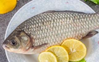 金海夕魚鉤適合釣什么魚，適合釣鯽魚、羅非魚、鲴魚等