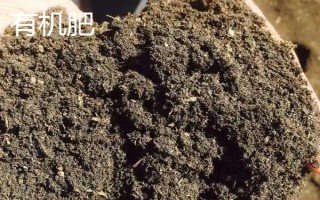 有機肥和生物菌肥的區(qū)別，前者本身含有多種養(yǎng)分、后者通過微生物的生命活動產(chǎn)生肥效