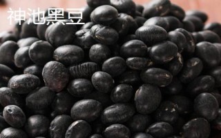 山西省神池縣的特產(chǎn)，包括神池黑豆、神池黍子、神池羊肉等種類