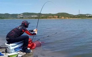 釣鯉魚如何才能避開白條鬧窩，可以使用素餌