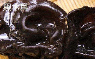 如何正確挑選白背木耳，可以用手捏或者用水泡等