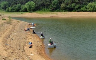 野釣黃尾魚適合用什么餌料，腥味型、麩香型、酒香型均可使用
