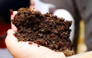 狗糞能不能直接埋土里當(dāng)作花肥，直接使用容易引發(fā)病害