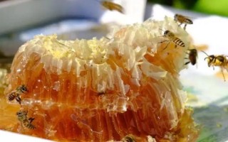 挖蜂巢蜜為什么要用木勺，可防止其受污染