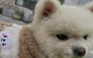 狗器官衰竭去世前的癥狀，最先表現(xiàn)為進食異常、精神遲滯等
