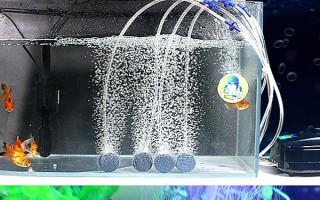 魚缸打氧機(jī)不出泡的解決辦法，可以嘗試將氧氣泵放在高一點(diǎn)的位置