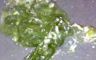 雞拉綠色糞便的原因，感染傷寒、患上禽霍亂等因素均會導(dǎo)致