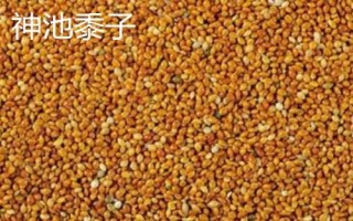 山西省神池縣的特產(chǎn)，包括神池黑豆、神池黍子、神池羊肉等種類