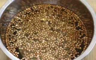 有機(jī)蔬菜種子怎么浸種催芽，用溫水浸泡后再放入容器中并覆蓋濕毛巾