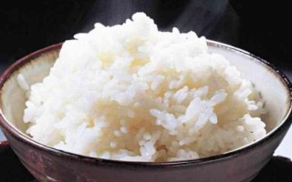秋季野釣鯽魚適用餌料，常用餌包括米飯、麥粒及蚯蚓