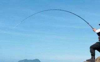 青魚怎么釣，選擇合適的釣組尤為重要