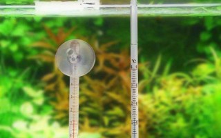 熱帶魚能放生河里嗎，熱帶魚不可以放生河里