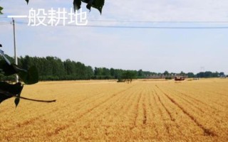 基本農(nóng)田和一般耕地的意思，前者是指被總體規(guī)劃不得占用的耕地、后者是指經(jīng)常耕耘的土地