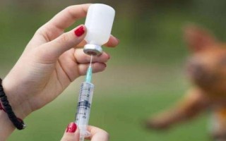一公斤的豬打多少青霉素，用量多為5萬(wàn)單位