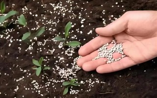 復(fù)合肥的使用方法，一般畝用量為30-40千克
