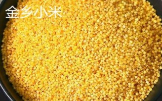 山東省金鄉(xiāng)縣的特產(chǎn)，胡集白梨瓜走俏全國(guó)