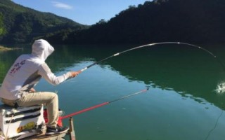 11月份是否容易垂釣鰱鳙，此時鰱鳙的活性不高、因此不易垂釣