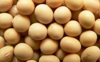 受歡迎的大豆品種有哪些，常見(jiàn)的有中黃35、中黃301等