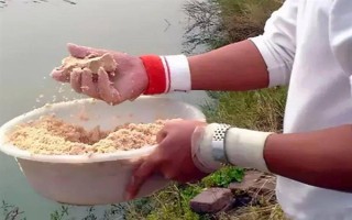 蚯蚓釣鯽魚(yú)不開(kāi)口怎么處理，一定要打好窩子