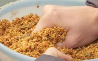 秋釣技巧，在水草區(qū)、入水口等位置釣魚更容易釣獲