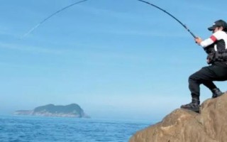 釣黑魚(yú)的技巧，最佳時(shí)間是3-11月