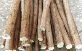 李子樹苗的品種推薦，脆紅李和胭脂李市場認(rèn)可度高
