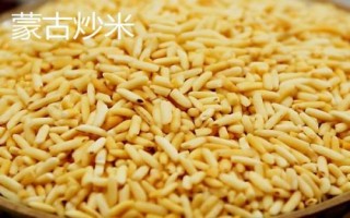 二連浩特市的特產(chǎn)，包括牛羊卷肉和皮囊酒等種類