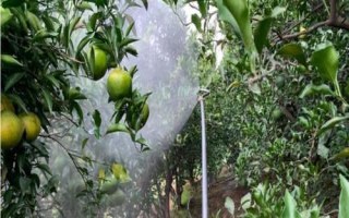 何時(shí)對(duì)果樹(shù)使用鈣肥，分別在落花后、膨大期、采摘前追施