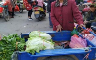 農(nóng)村集市適合賣什么，果蔬、面食、小吃等種類都是不錯的選擇