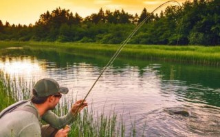 釣黃顙魚最佳時(shí)間，夏季和初秋的晚上是釣黃顙魚的黃金時(shí)間