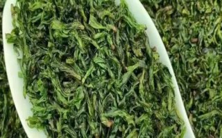 小葉苦丁茶和大葉苦丁茶的區(qū)別，產(chǎn)地和口感均不同
