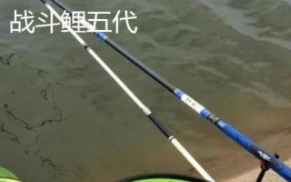 200元以內(nèi)的魚竿推薦，玄圖、慶魚年、霸王悍等竿型均為適宜選擇