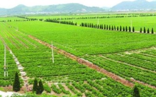 農(nóng)業(yè)勞動(dòng)生產(chǎn)率，反應(yīng)了勞動(dòng)者的生產(chǎn)效果和能力