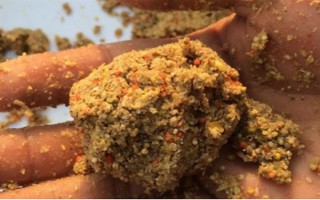 釣鯉魚如何才能避開白條鬧窩，可以使用素餌