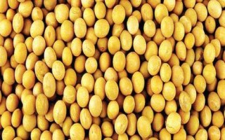 黑農(nóng)554大豆種子特征特性，在適應(yīng)區(qū)5月中旬播種