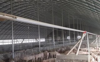 如何搭建養(yǎng)豬大棚，首先風(fēng)口不可面對人群聚集地