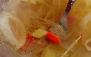 曇花的吃法，可熬湯也可凍冰后食用