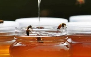 蜂蜜有哪些顏色，主要有水白色、琥珀色、淺琥珀色等7種顏色