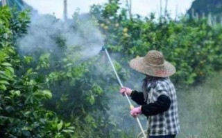 高效氯氰菊酯的注意事項(xiàng)，使用時(shí)一定要注意作物安全間隔期