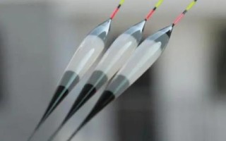 釣鯉魚用什么魚漂，七星漂或歷史漂都適用