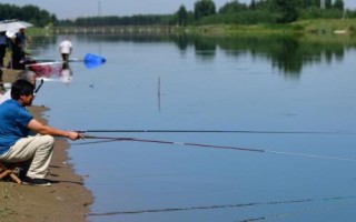 春釣大鯽魚如何選擇釣位，早春可在回水灣作釣