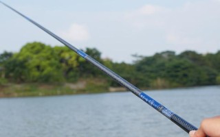 路亞黑魚適合用哪種調(diào)性的魚竿，H或XH硬度的雷強(qiáng)竿是適宜選擇