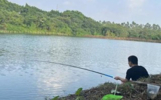 釣鯉魚(yú)是釣底還是釣浮，可以釣底也可以釣浮