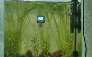 魚缸如何換水，一般采用熱水兌冷水的方式