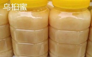 烏桕蜜和枇杷蜜哪個更好，枇杷蜜的味道稍勝一籌