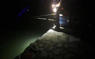 夜釣用蚯蚓還是餌料好，取決于魚情、釣法、環(huán)境