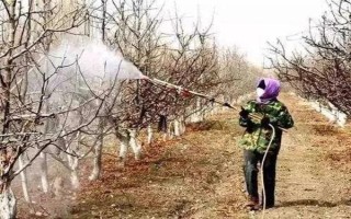 使用植物防凍劑的時(shí)間，晚秋、初冬、春季倒春寒這幾個(gè)時(shí)期最合適