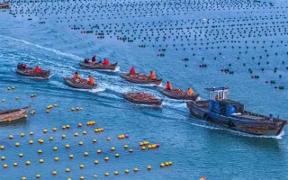 塞內(nèi)加爾海域漁業(yè)資源豐富是什么原因，當(dāng)?shù)貧鉁剡m宜