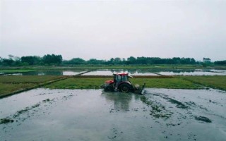 拖拉機(jī)水田作業(yè)防陷車小竅門，翻越田埂時(shí)盡可能用鎬頭刨低田埂