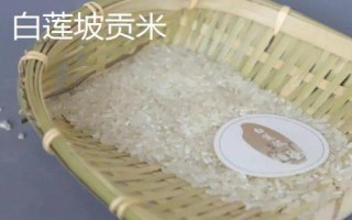 安徽省長(zhǎng)豐縣的特產(chǎn)，下塘燒餅深受消費(fèi)者喜愛